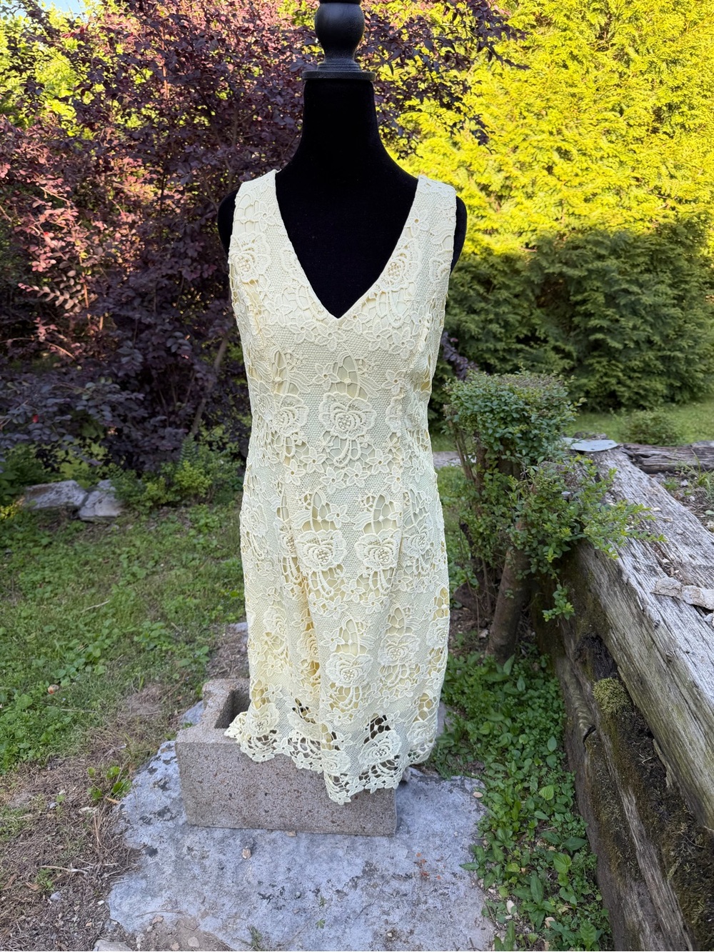 Floral Lace V-Neck Midi Dress